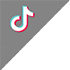 TikTok Hizmetleri
