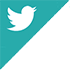 Twitter Hizmetleri