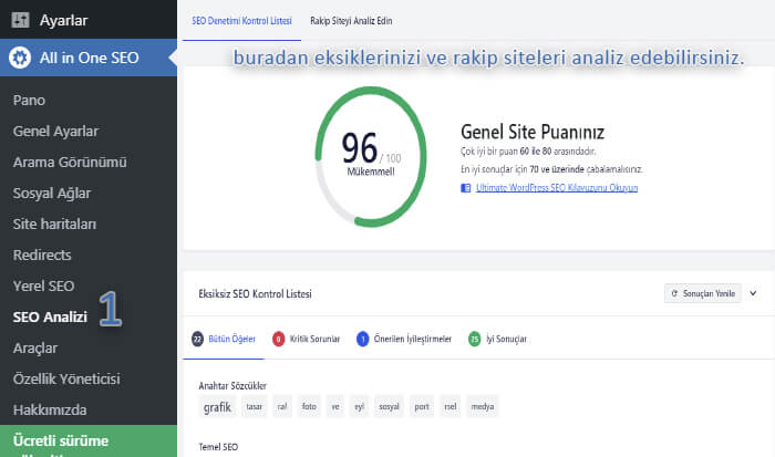 all in one seo analiz aracı